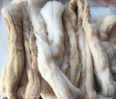 Natural dyes – buddleia and onion skins