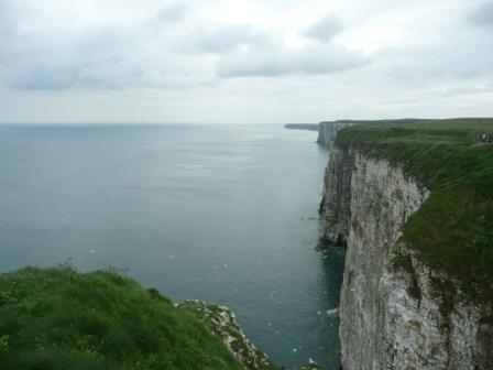 One step at a time…