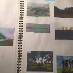 sketchbook with photographs and sketches of trees