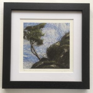 Birch Tree on Brimham Rocks (small print framed)