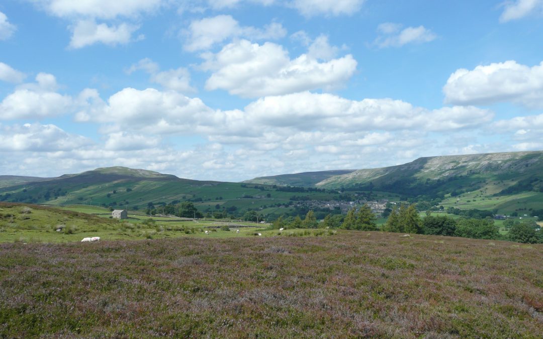 Heather Moorland: August 2020 theme